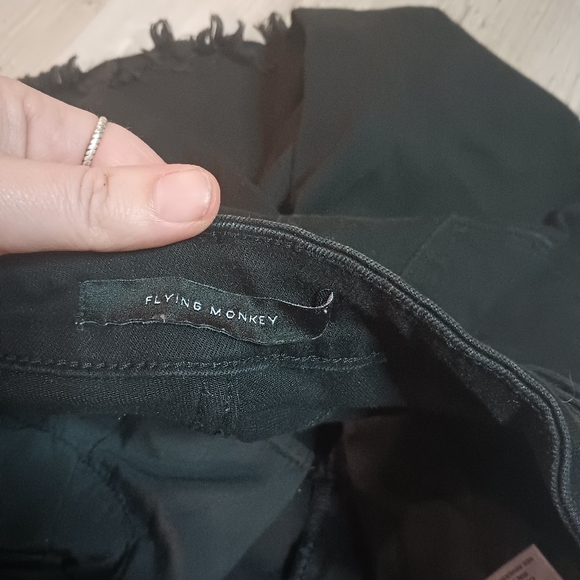 Flying Monkey - Picture 6 of 7